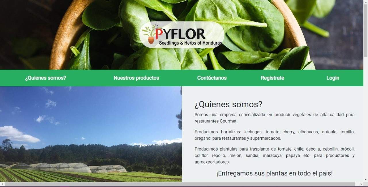 image of pyflor's landing page